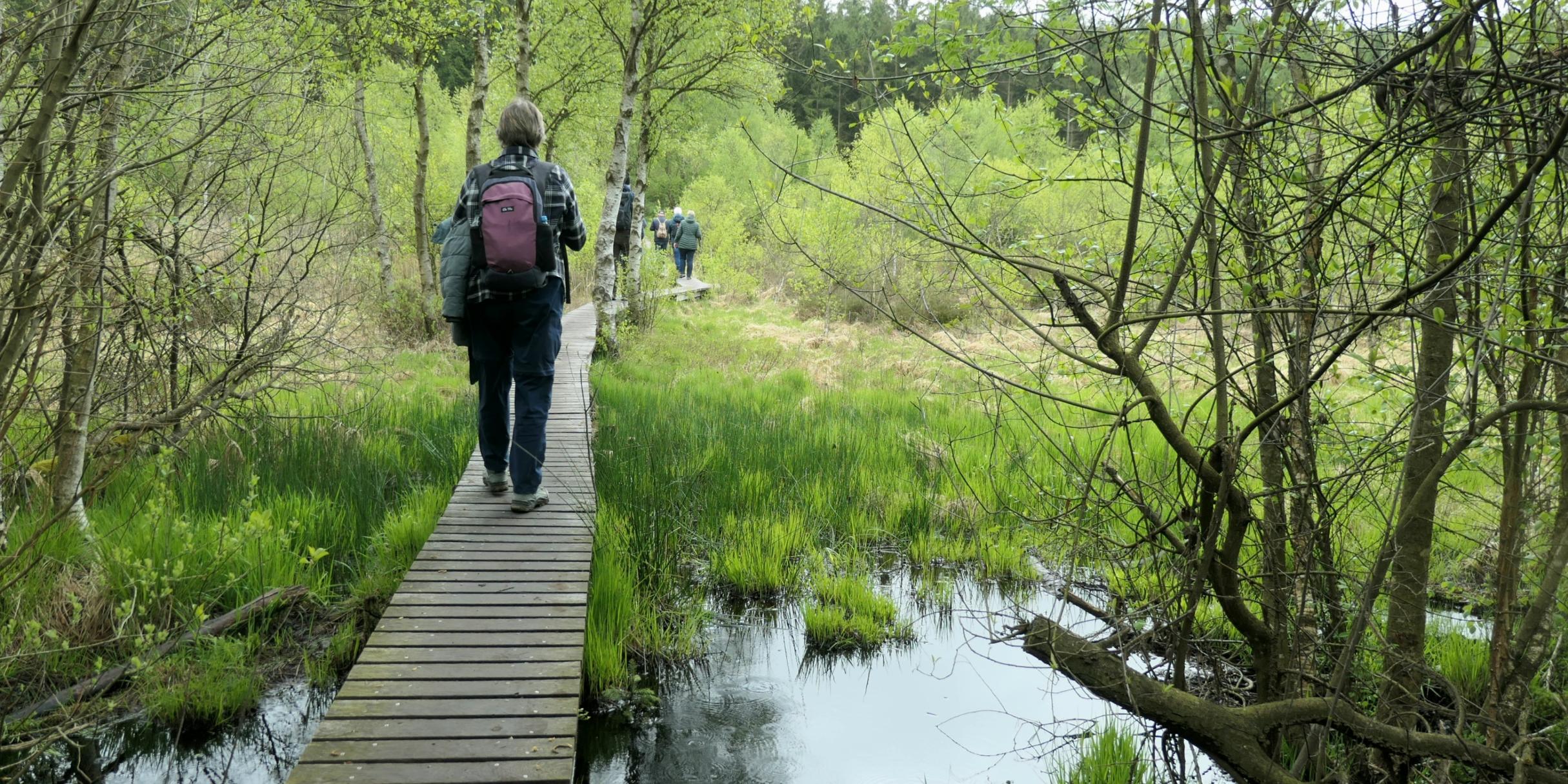 Die Wandergruppe im Hohen Venn auf dem Weg zur Trôt Marets Schlucht (c) Barbara Schartz Die Wandergruppe im Hohen Venn auf dem Weg zur Trôt Marets Schlucht